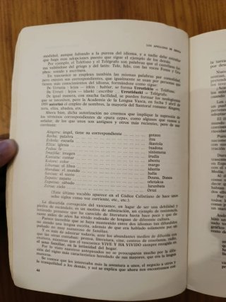 Apellidos vascos libros antiguo 1965