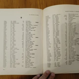 Apellidos vascos libros antiguo 1965