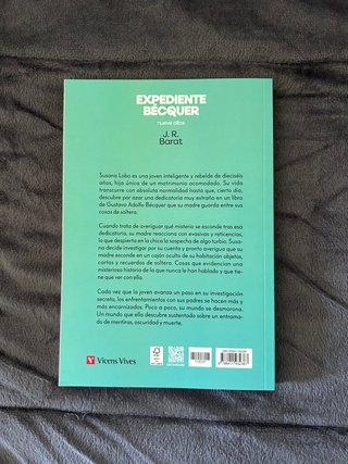 Lote de libros juveniles