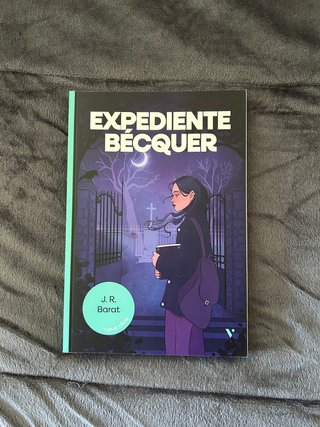 Lote de libros juveniles