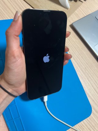 iPhone 13 Pro Max 256GB Verde
