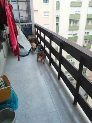 1 quincena de julio libre. Piso en Cádiz con garaj