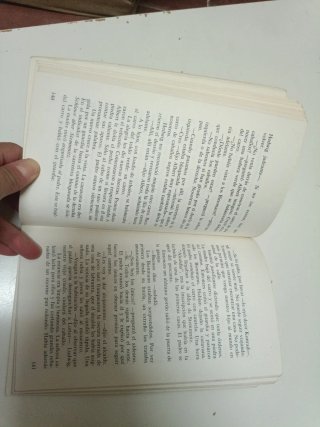 Año de lobos historia de una huida