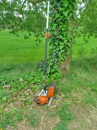Jardinero profesional