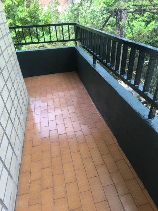 Pintor económico