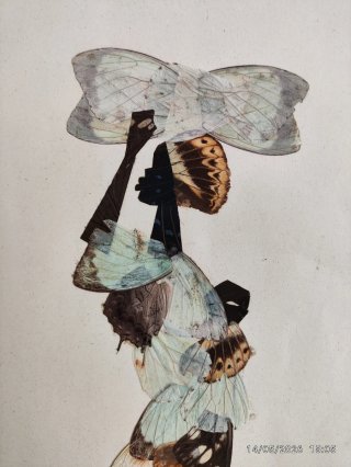 2 Cuadros Mariposas Alas