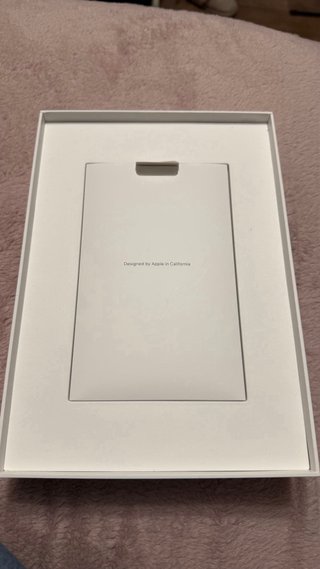 Apple iPad
