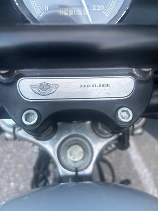 Harley Davidson 883R Clubstyle