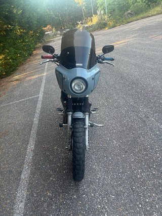 Harley Davidson 883R Clubstyle