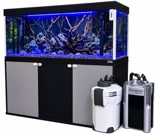 Acuario completo 120x40x55 + mueble + filtros