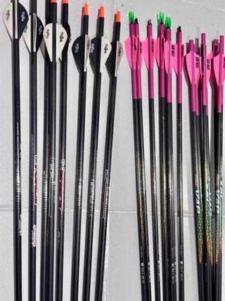 Kit Completo Tiro con Arco poleas Darton diestro
