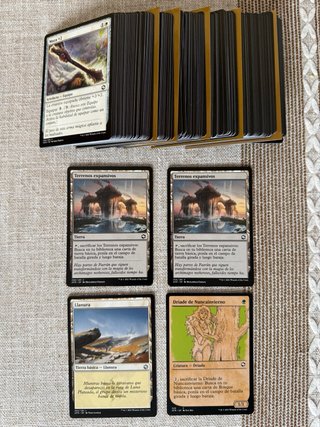 Magic Lote Bulk 150+ Cartas AFR (D&D) NM