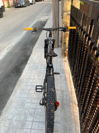Trek Remedy 8