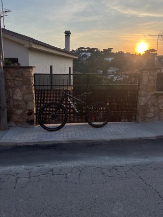 Trek Remedy 8