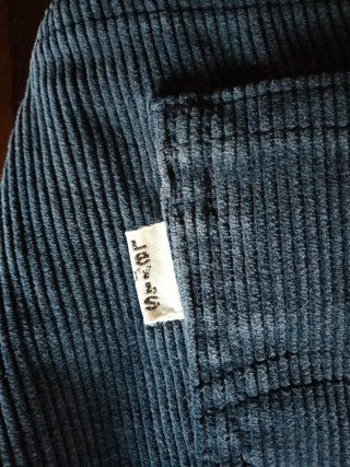 Jeans Levi's in velluto blu/petrolio