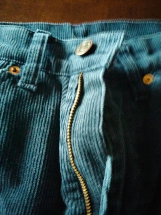 Jeans Levi's in velluto blu/petrolio