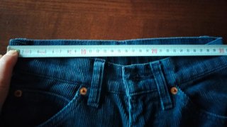 Jeans Levi's in velluto blu/petrolio