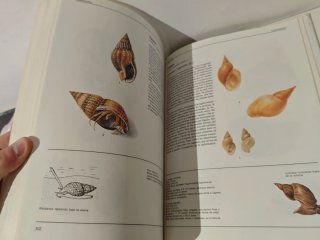 El gran libro de los animales