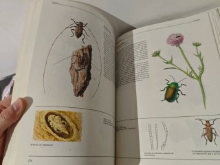 El gran libro de los animales