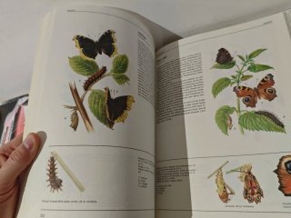 El gran libro de los animales