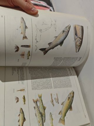 El gran libro de los animales
