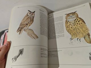 El gran libro de los animales