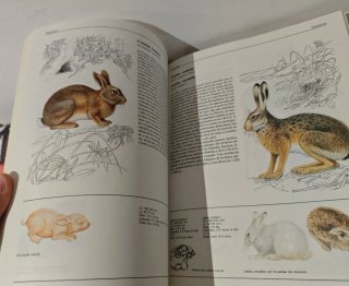 El gran libro de los animales