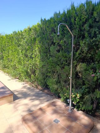 Alquiler piscina con jardín