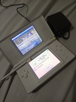 Nintendo DS Lite Blanca + Cargador