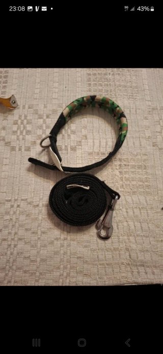 Collare Ferplast imbottito + guinzaglio