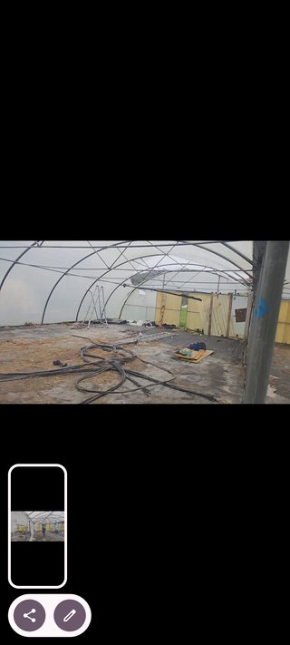 Invernadero Tritunel 400m2 y Túnel 350m2