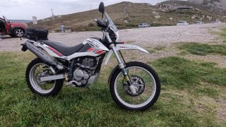 Beta ALP 4.0 350cc 2010