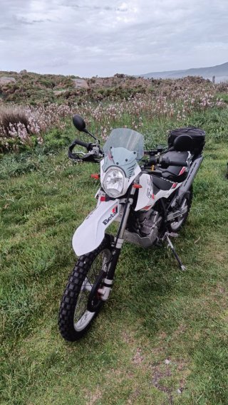 Beta ALP 4.0 350cc 2010