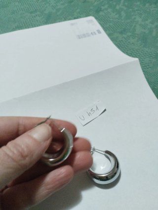 U451 Orecchini cerchio bombato in acciaio inox