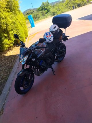 Yamaha FZ8 Naked Manual