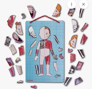 Janod El cuerpo humano juguete educativo