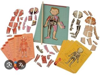 Janod El cuerpo humano juguete educativo