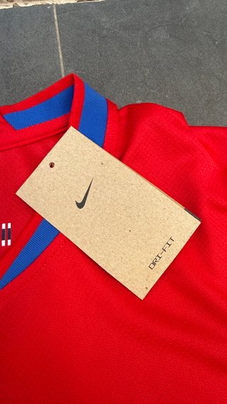 Camiseta Nike Noruega Mundial