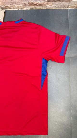 Camiseta Nike Noruega Mundial
