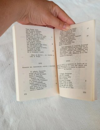 El Abencerraje (novela y ro...