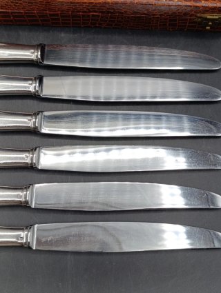 Set di coltelli da tavola vintage Apollonox