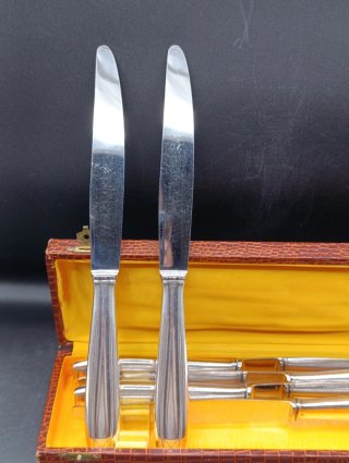 Set di coltelli da tavola vintage Apollonox