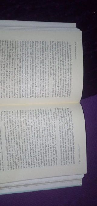 Diana En Busca Del Amor - Andrew Morton
