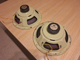 Roselson woofer 10 pulgadas(dos unidades) altavoce