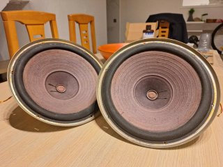 Roselson woofer 10 pulgadas(dos unidades) altavoce