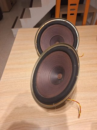 Roselson woofer 10 pulgadas(dos unidades) altavoce