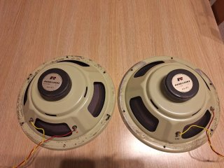 Roselson woofer 10 pulgadas(dos unidades) altavoce