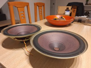 Roselson woofer 10 pulgadas(dos unidades) altavoce