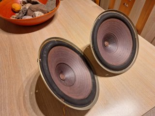 Roselson woofer 10 pulgadas(dos unidades) altavoce
