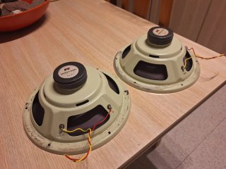 Roselson woofer 10 pulgadas(dos unidades) altavoce